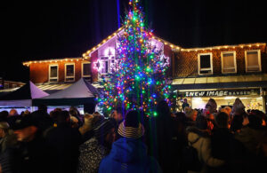 Photo of Hailsham's Christmas lights switch-on event in Vicarage Field - 24 November 2023