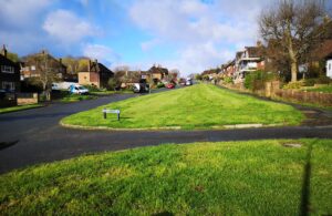 Photo of grass verge cuts in North Hailsham - March 2024