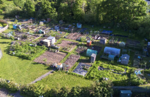 Photo (aerial view) of Harold Avenue allotment site