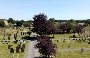 Photo of Hailsham Cemetery in Ersham Road